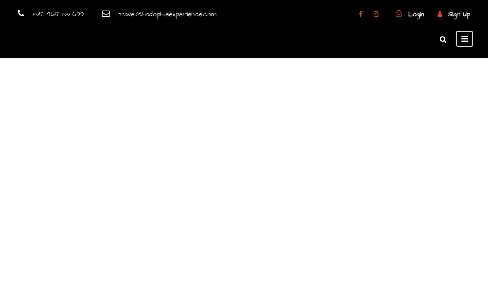 Screenshot of hodophileexperience.com