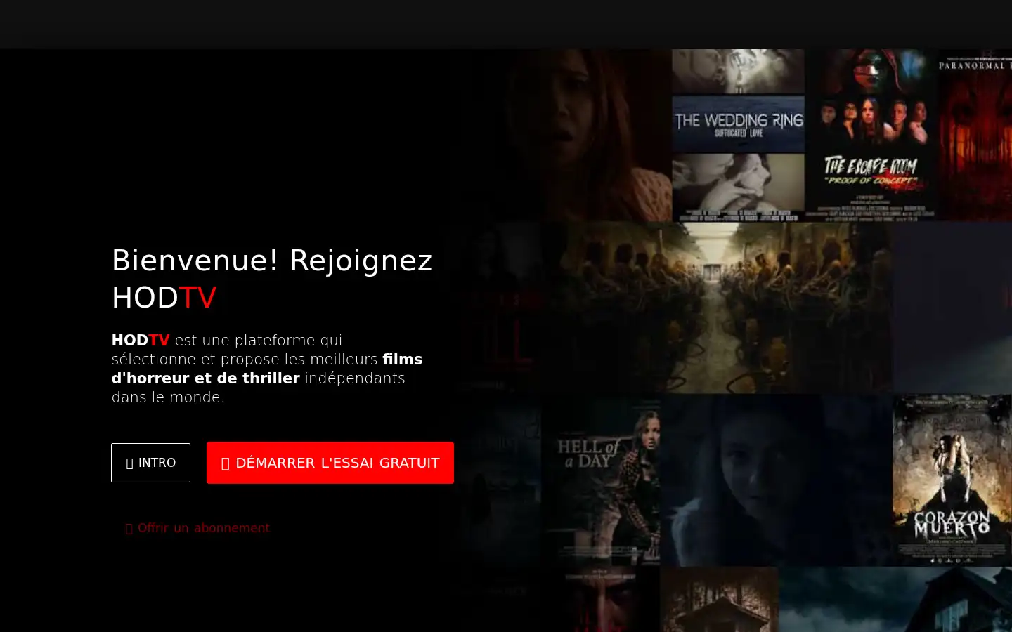 Screenshot of hodtv.net