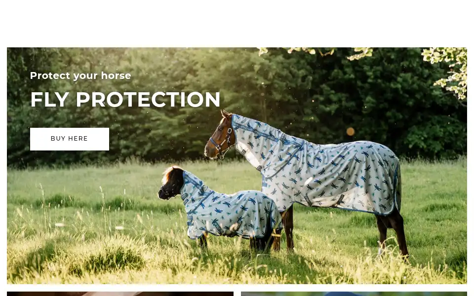 Screenshot of hogstaridsport.com