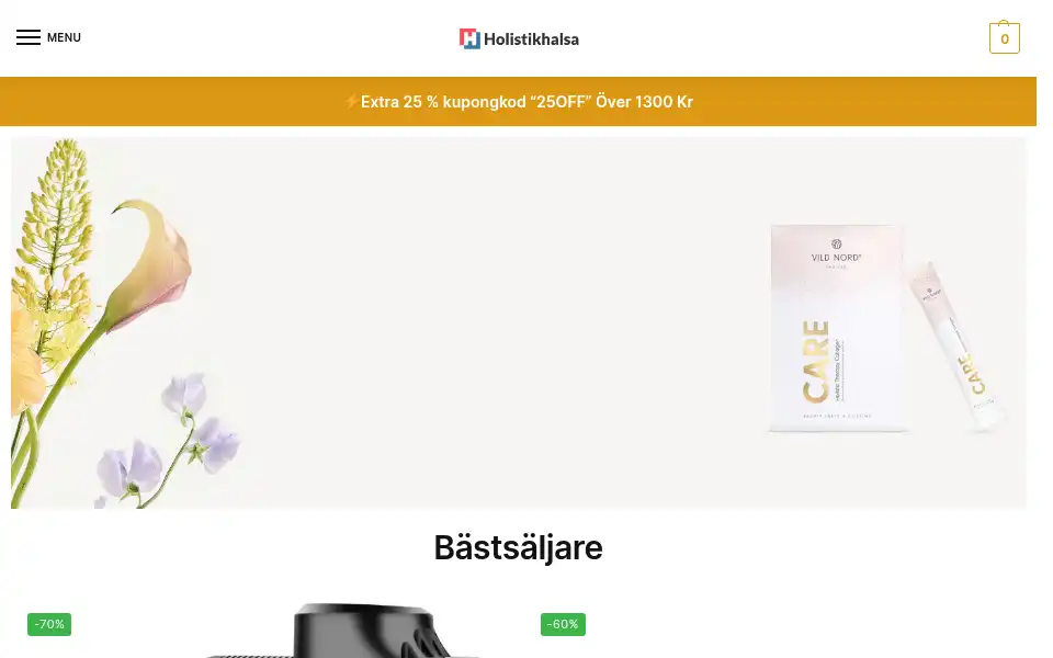 Screenshot of holistikhalsa.com