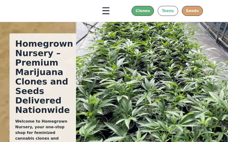 Screenshot of homegrownursery.com