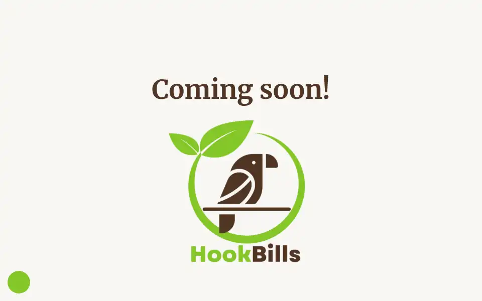 Screenshot of hookbills.eu