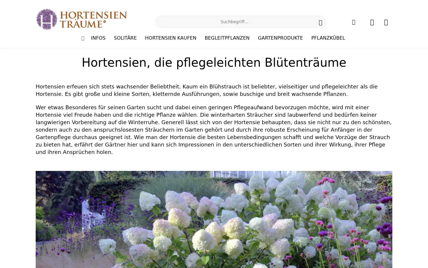 Screenshot of hortensie.de