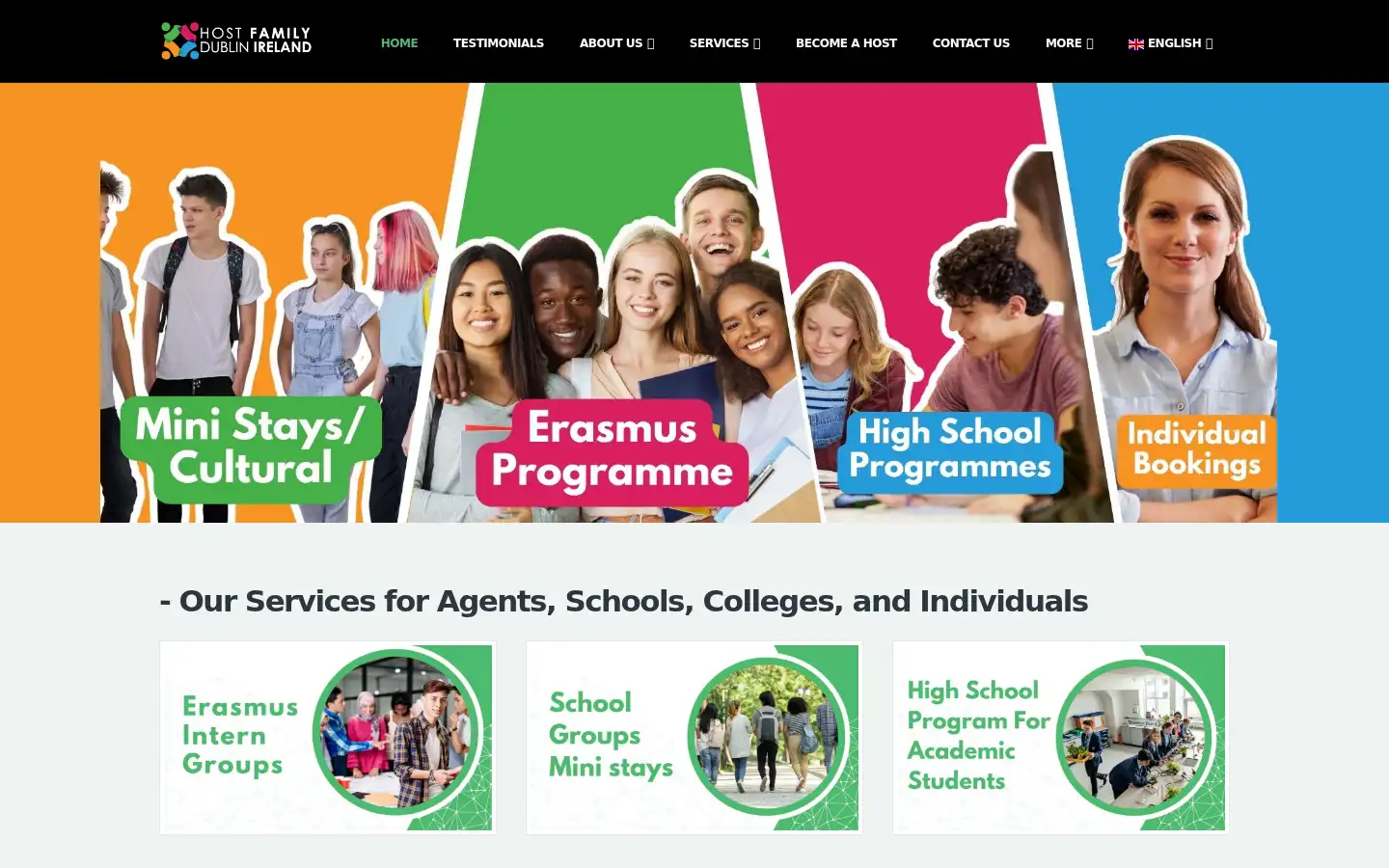 Screenshot of hostfamilydublinireland.ie