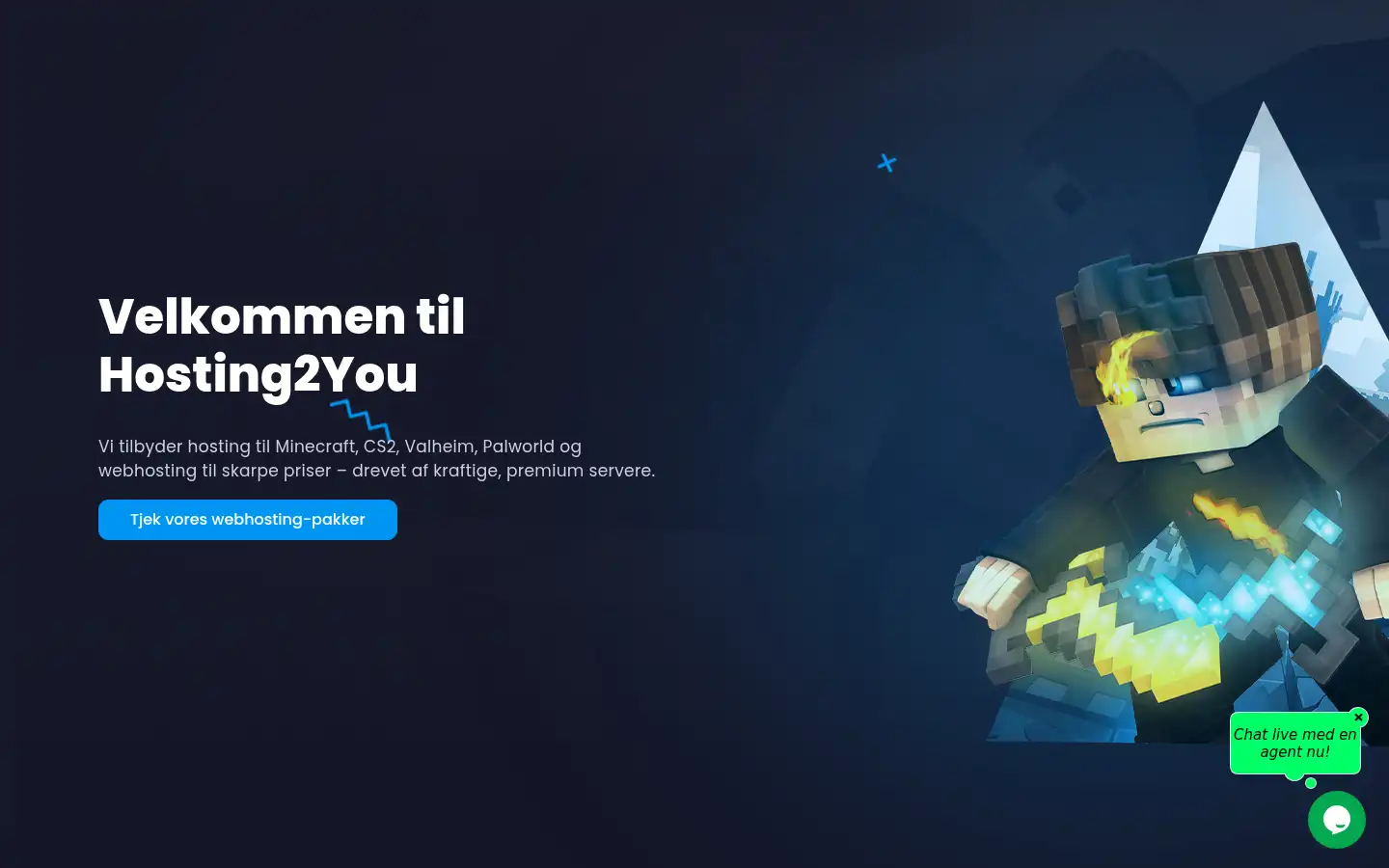 Screenshot of hosting2you.dk
