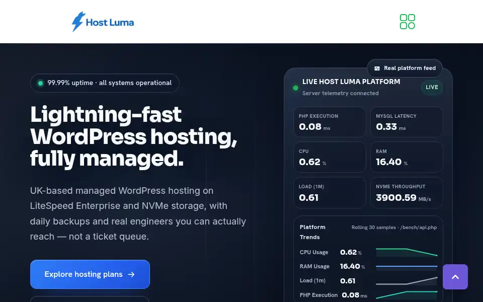 Screenshot of hostluma.co.uk