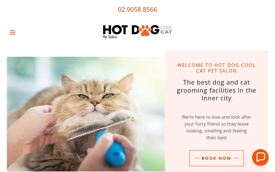Screenshot of hotdogcoolcat.com.au