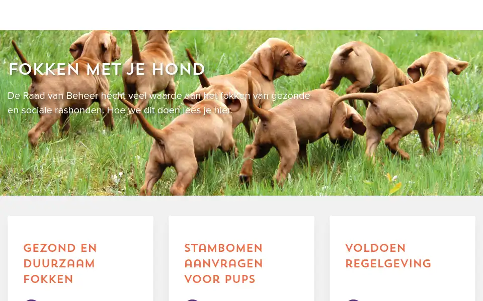 Screenshot of houdenvanhonden.nl