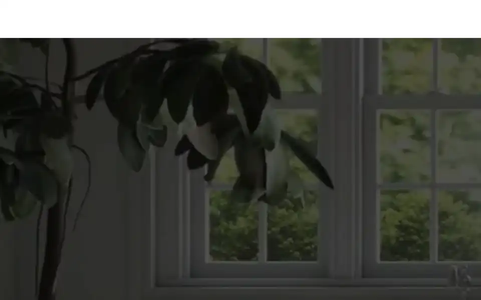 Screenshot of houseofbluebeans.com