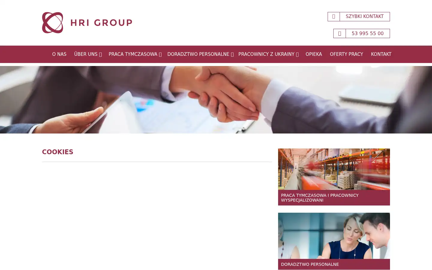 Screenshot of hrigroup.pl