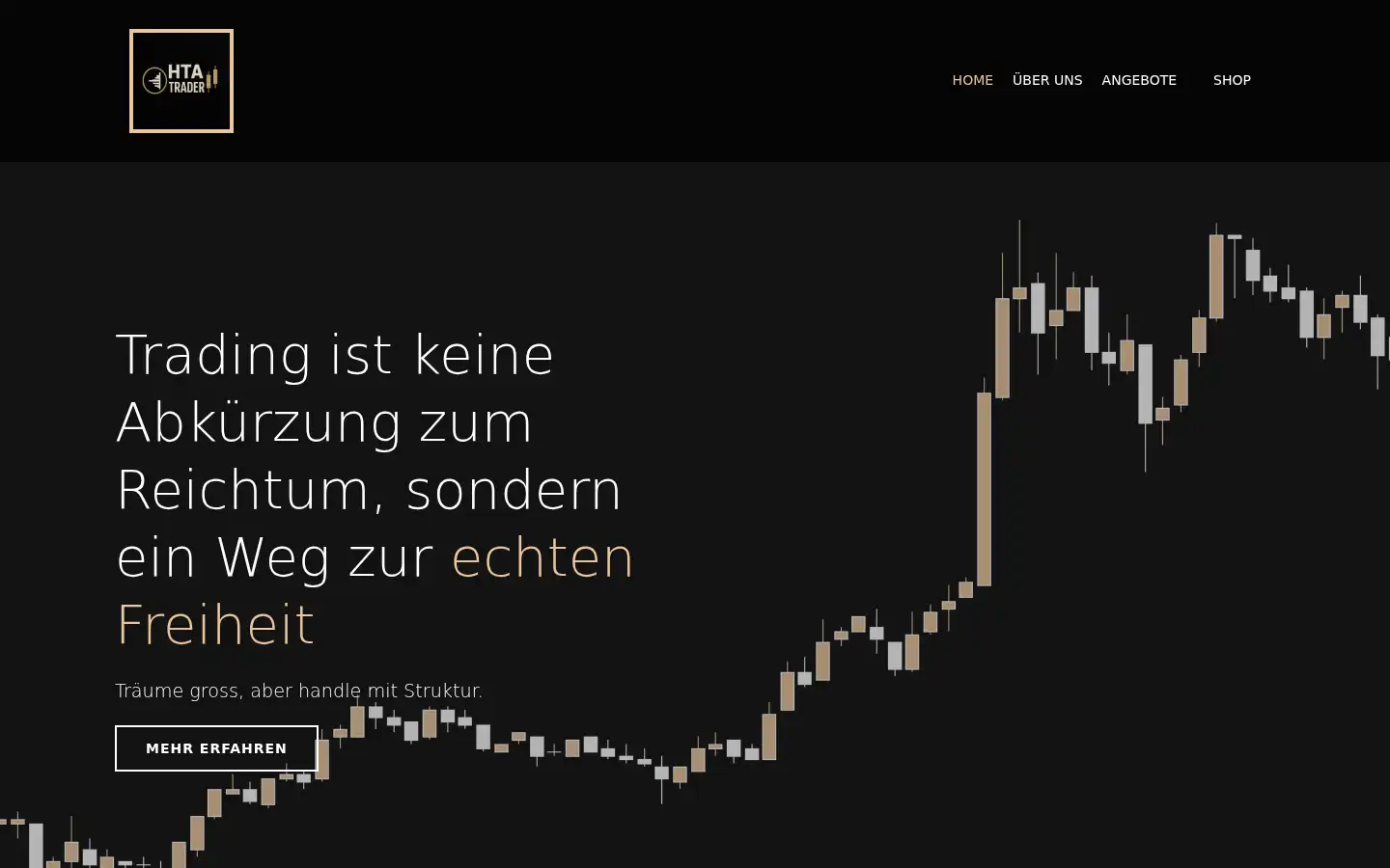 Screenshot of hta-trader-academy.com