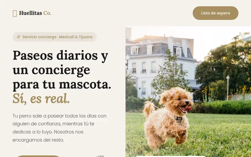 Screenshot of huellitascompany.com