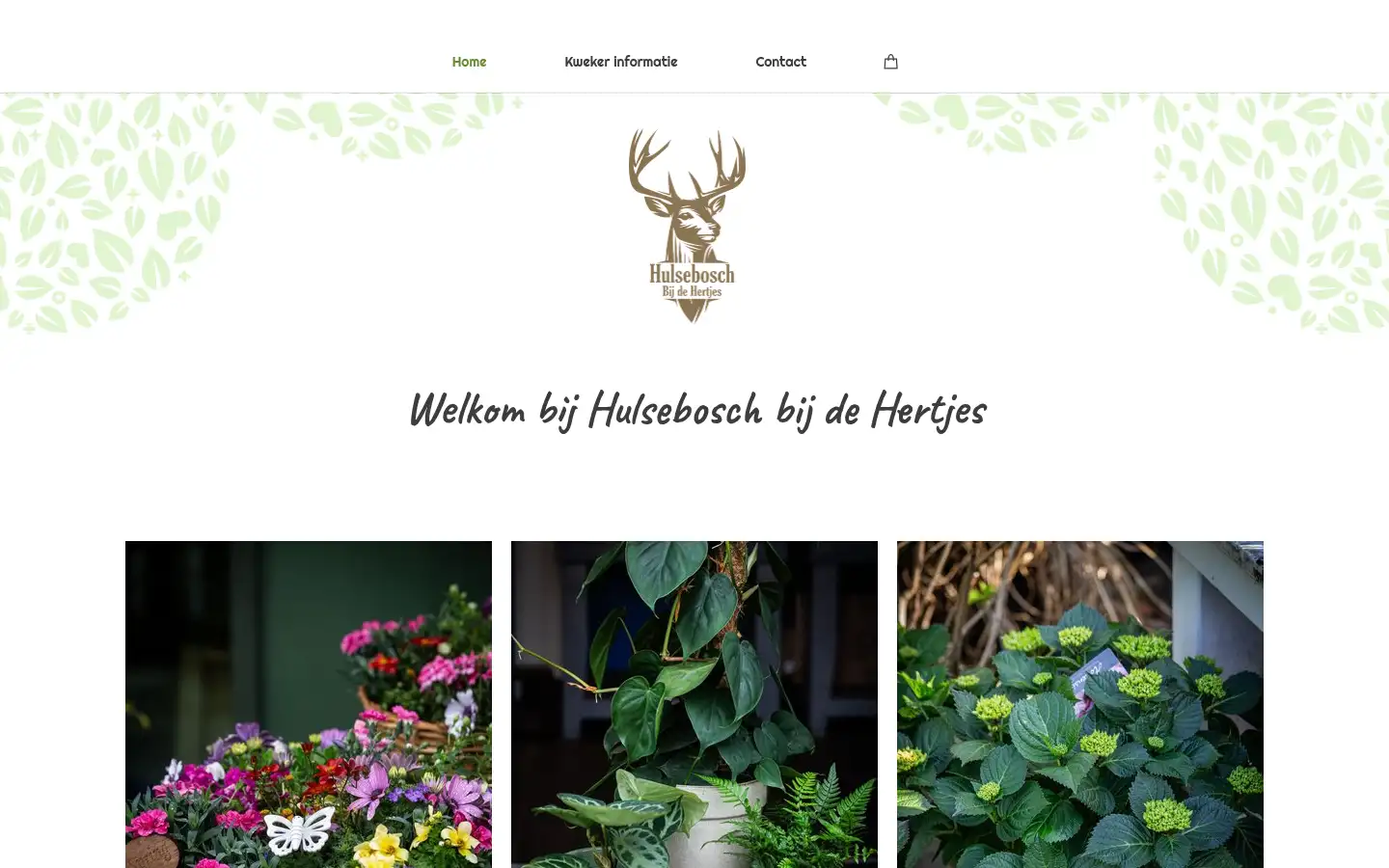 Screenshot of hulsebosch-bijdehertjes.nl