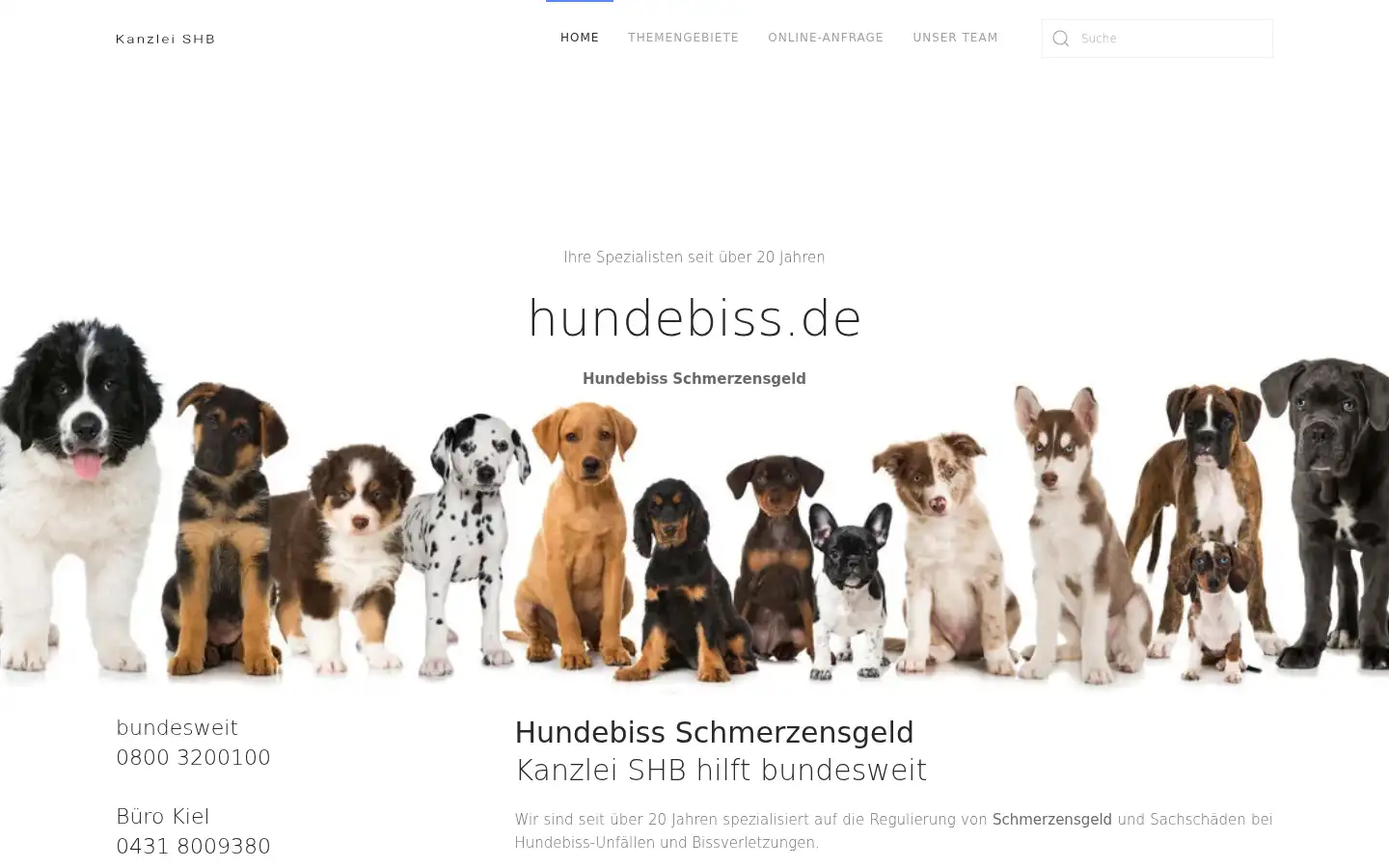 Screenshot of hundebiss.de