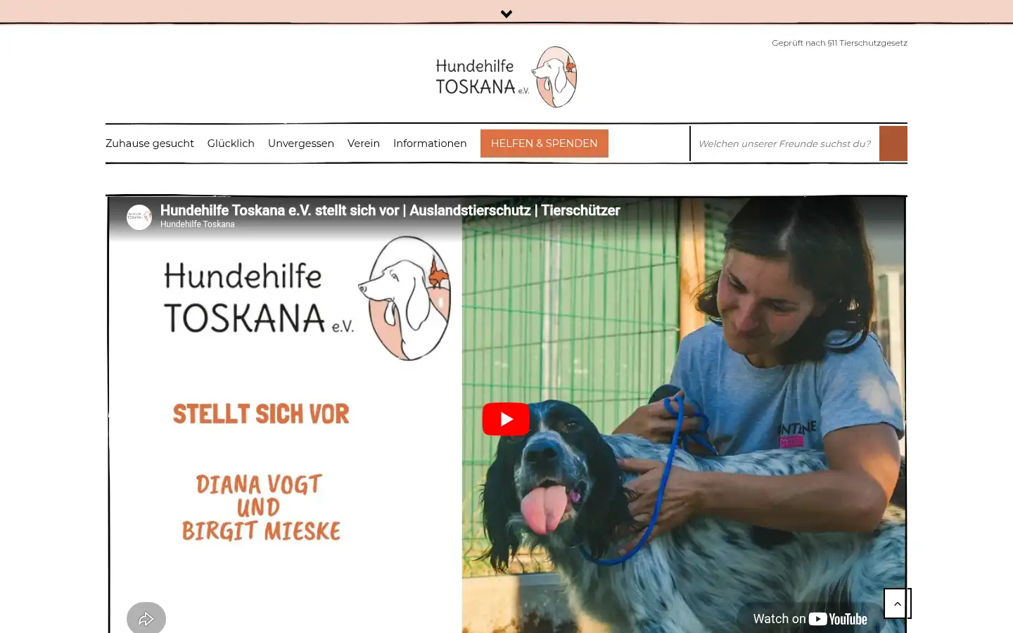 Screenshot of hundehilfe-toskana.de
