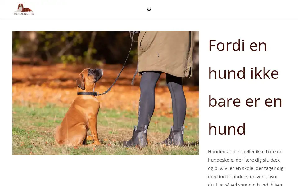 Screenshot of hundenstid.dk