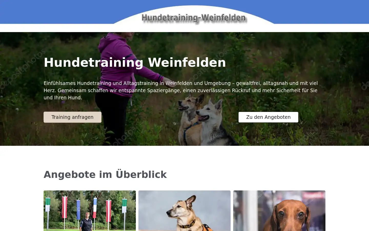 Screenshot of hundetraining-weinfelden.ch