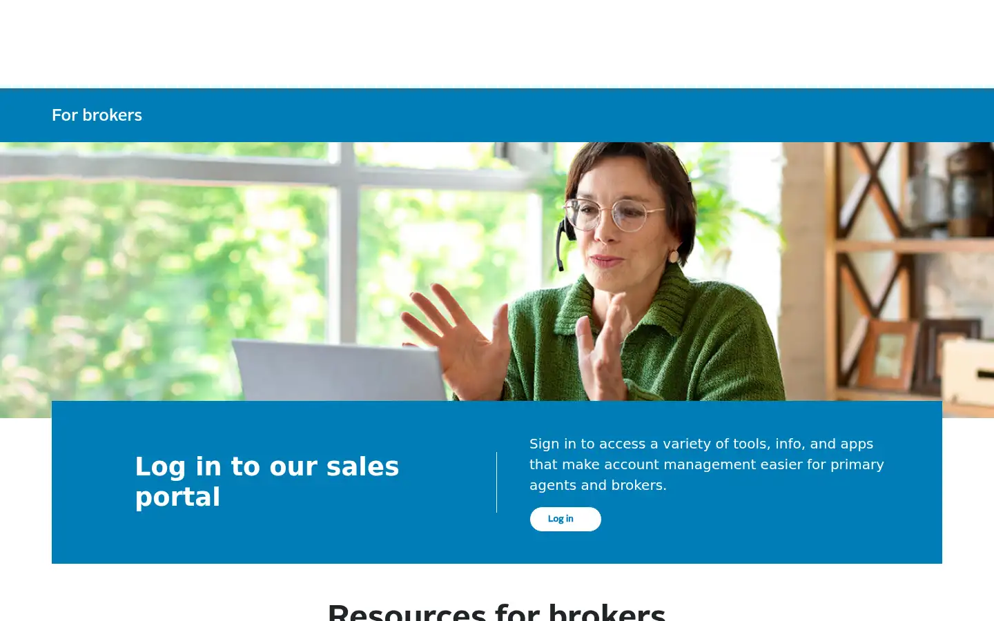Screenshot of ibx.com