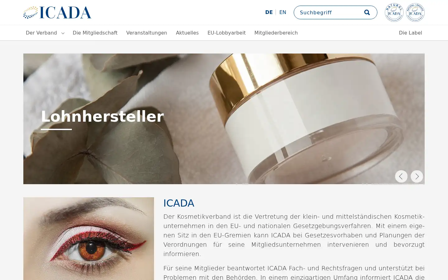 Screenshot of icada.eu