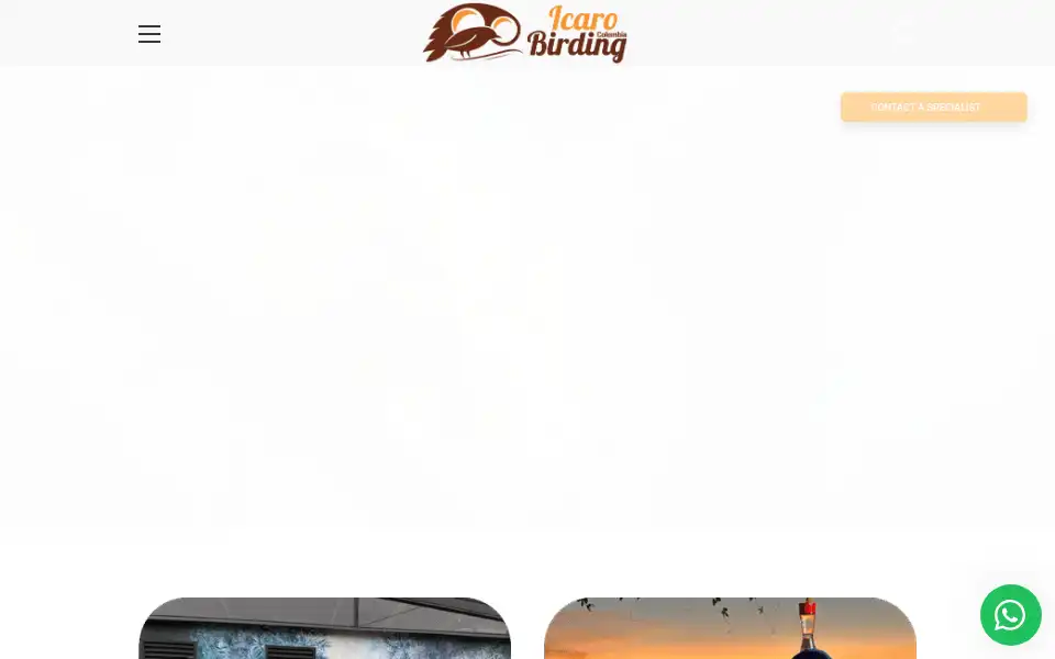 Screenshot of icarobirding.com