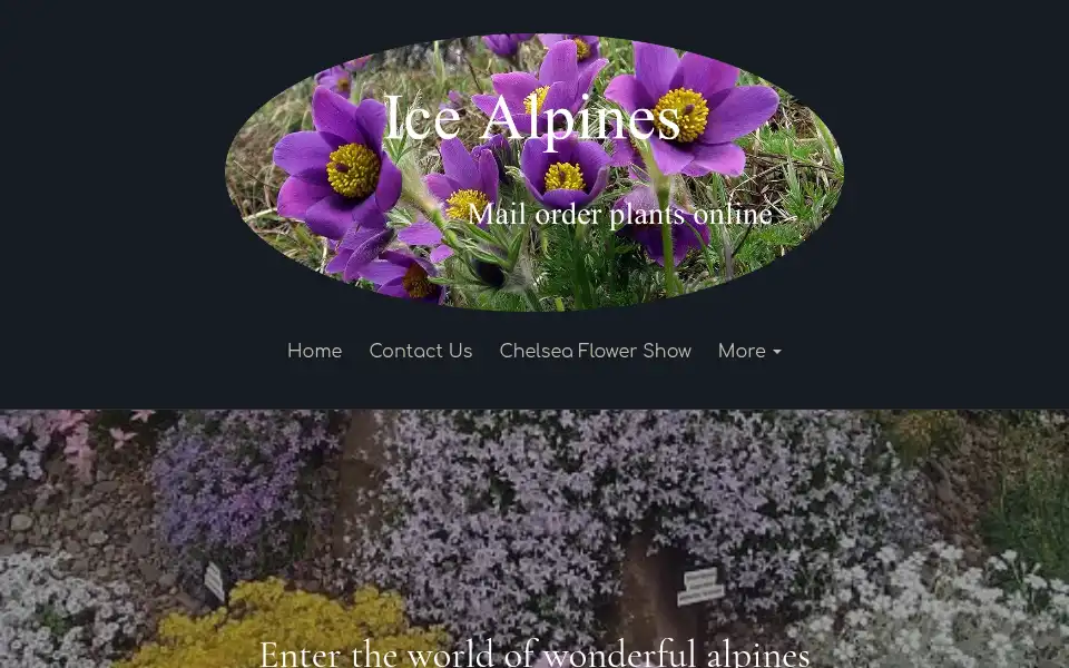 Screenshot of icealpines.co.uk