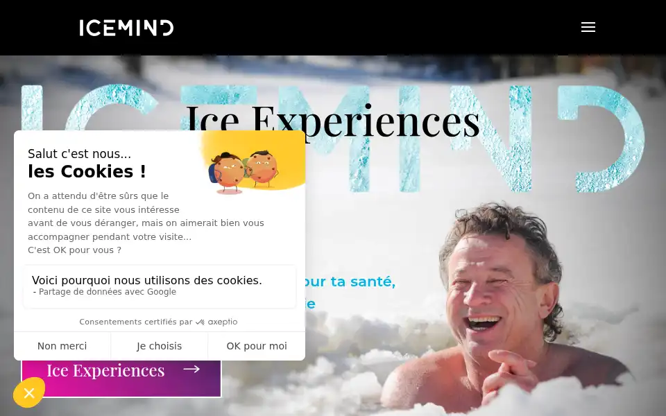 Screenshot of icemind.com