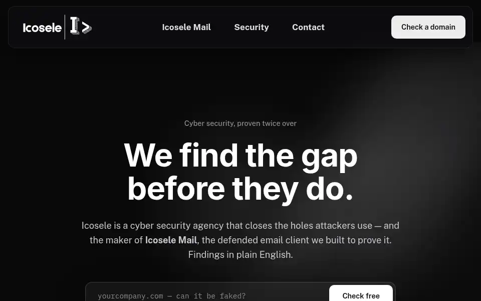 Screenshot of icosele.com