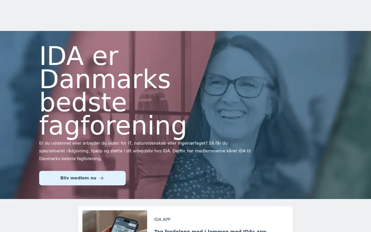 Screenshot of ida.dk