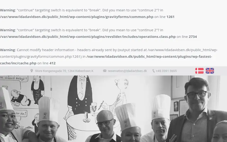 Screenshot of idadavidsen.dk