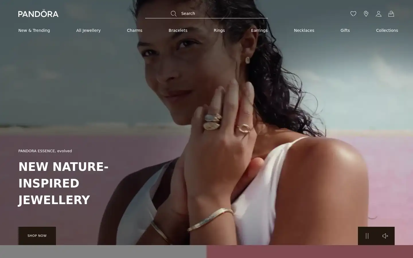Screenshot of ie.pandora.net