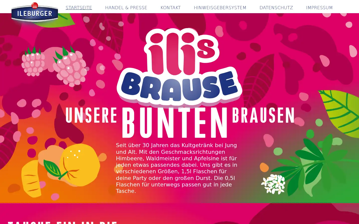 Screenshot of ilisbrause.de