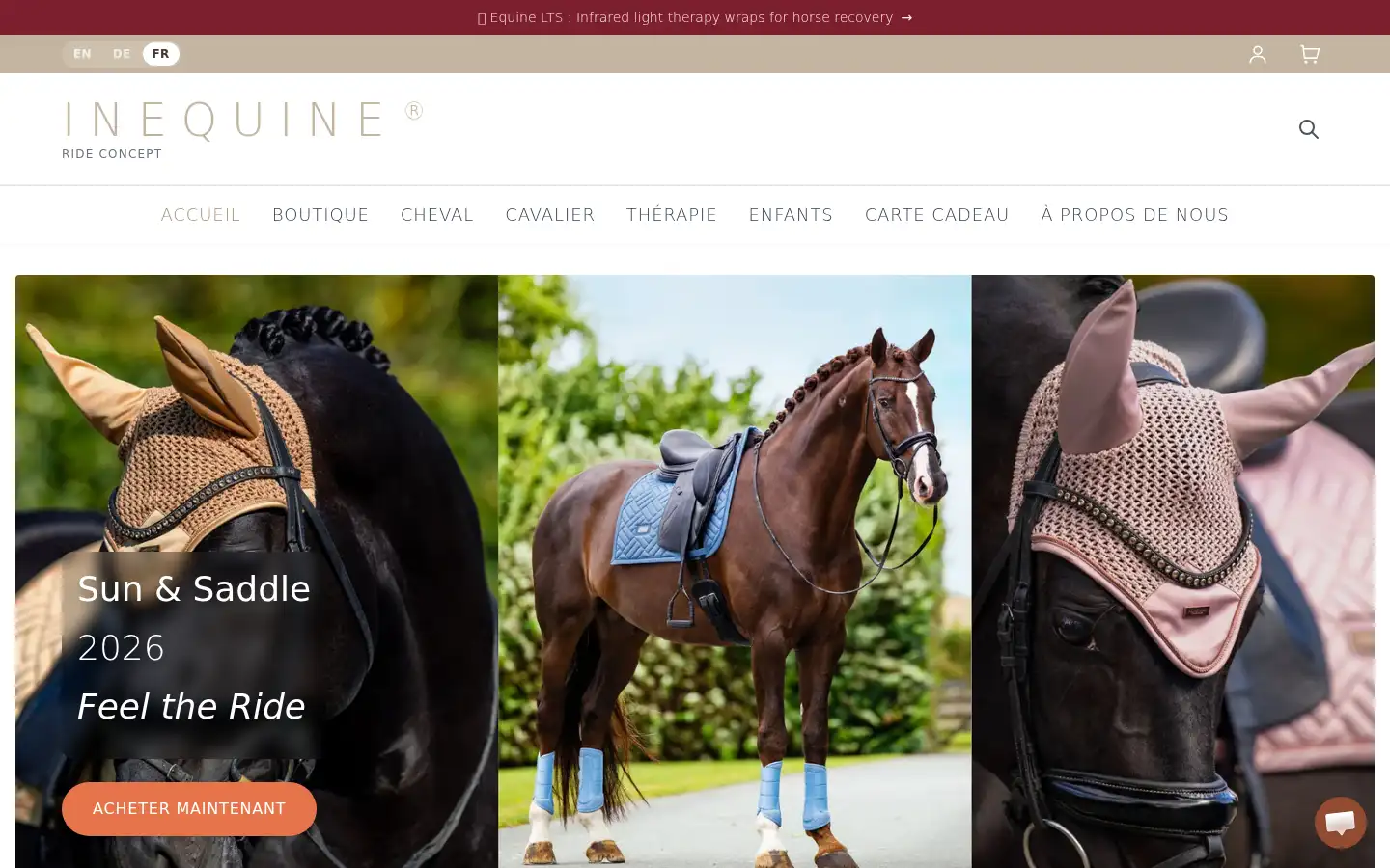 Screenshot of inequine.ch