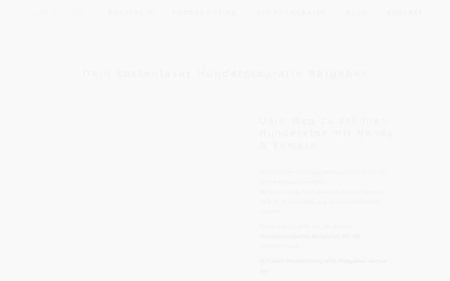 Screenshot of ines-arnshoff.de