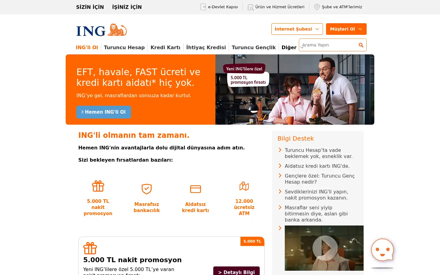 Screenshot of ing.com.tr