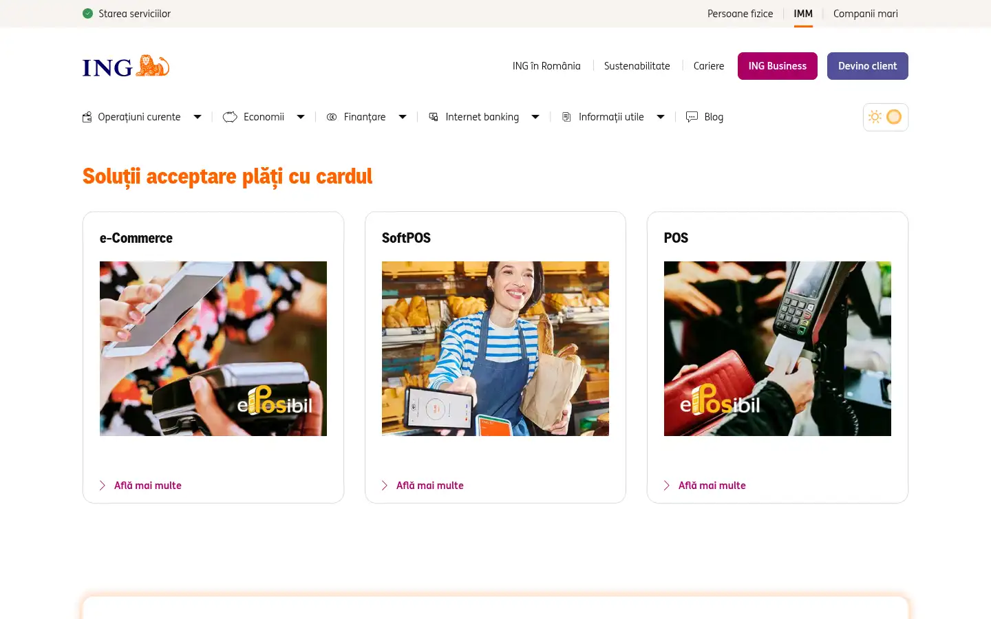 Screenshot of ing.ro
