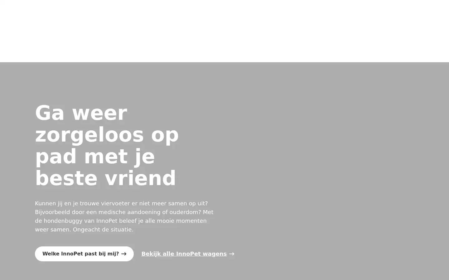 Screenshot of innopet.nl