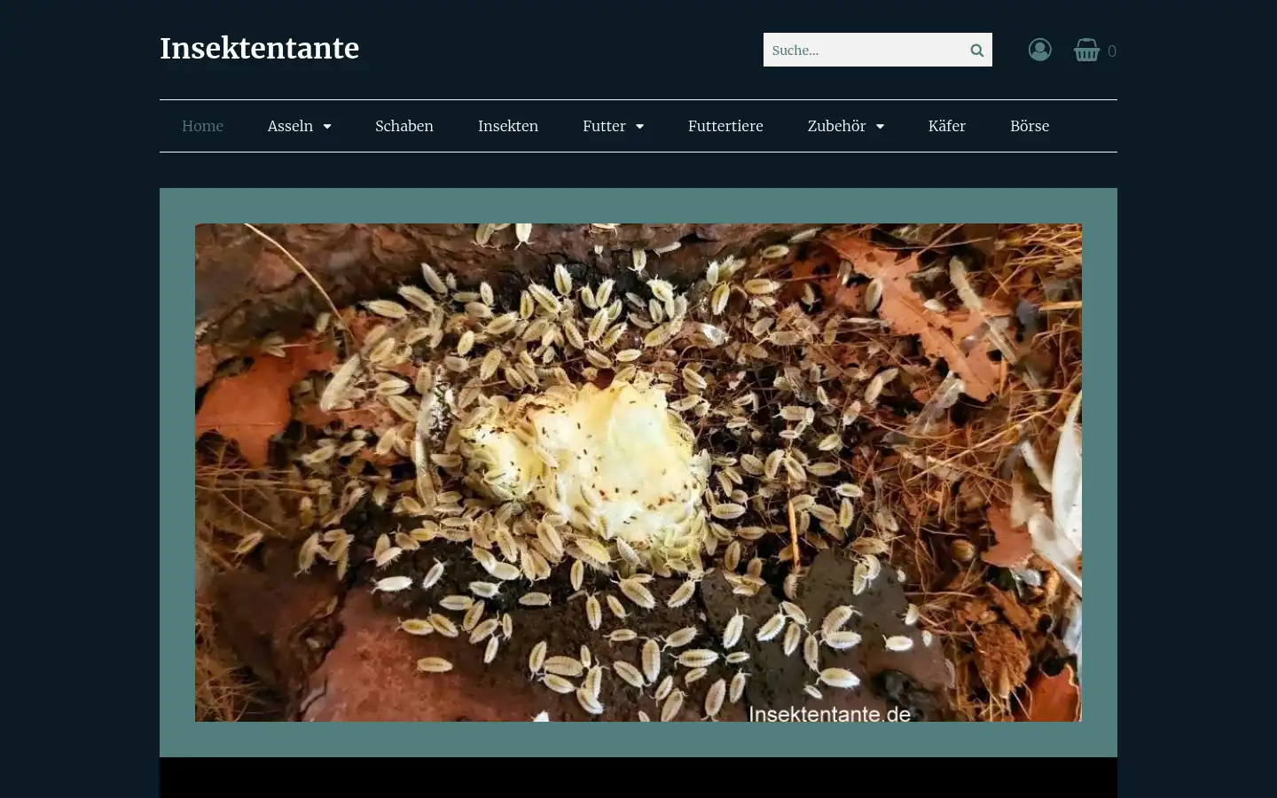 Screenshot of insektentante.de