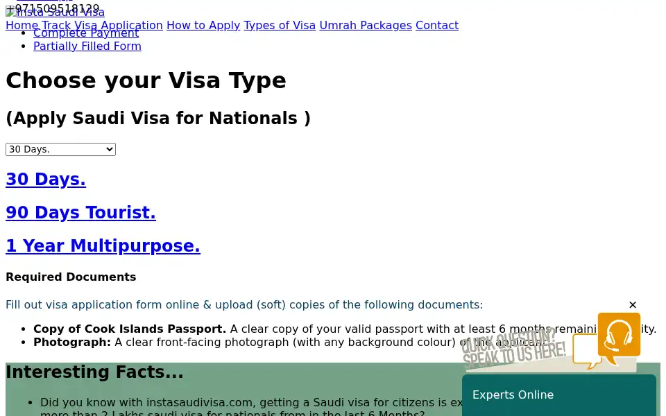 Screenshot of instasaudivisa.com