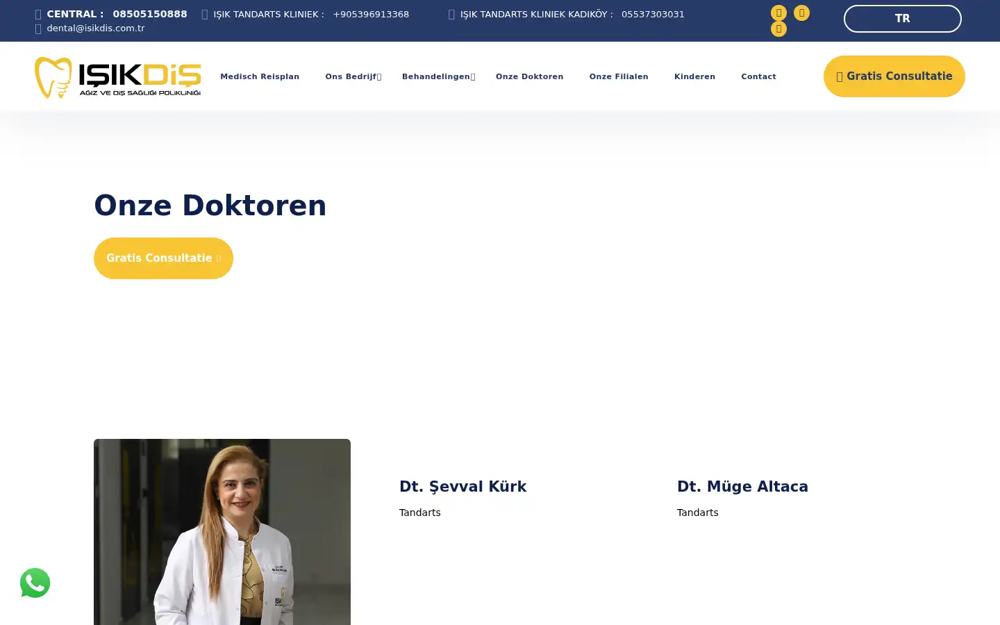 Screenshot of int.isikdis.com.tr