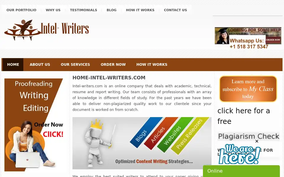 Screenshot of intel-writers.com