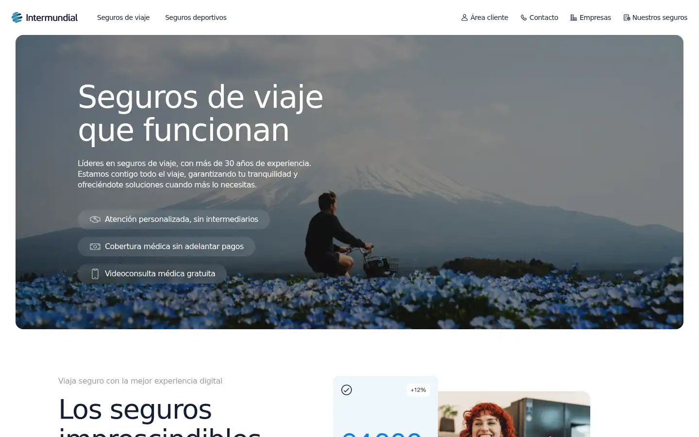 Screenshot of intermundial.es