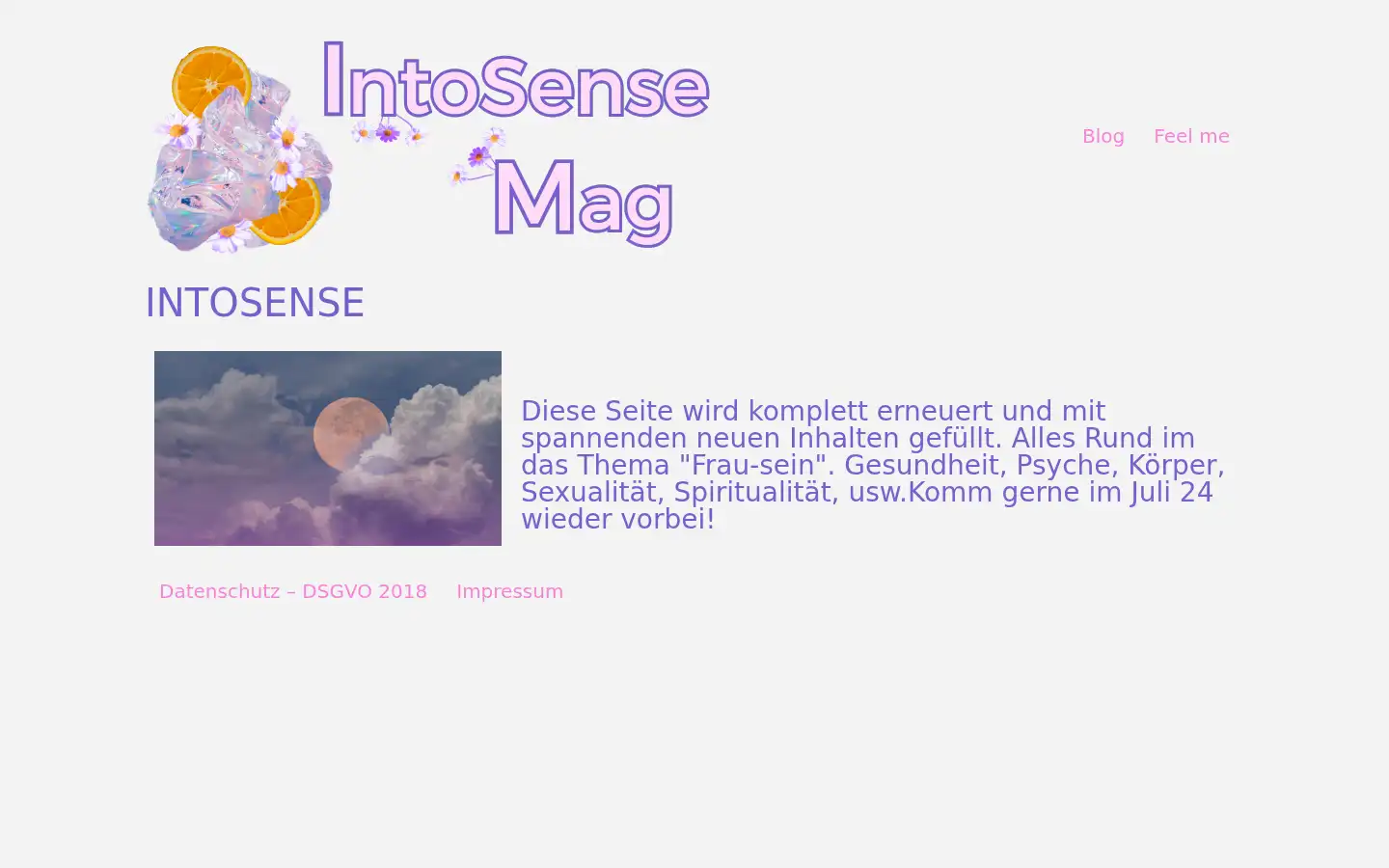 Screenshot of intosense.de