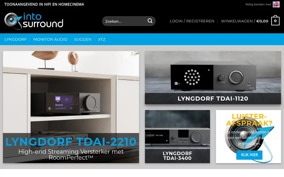 Screenshot of intosurround.nl
