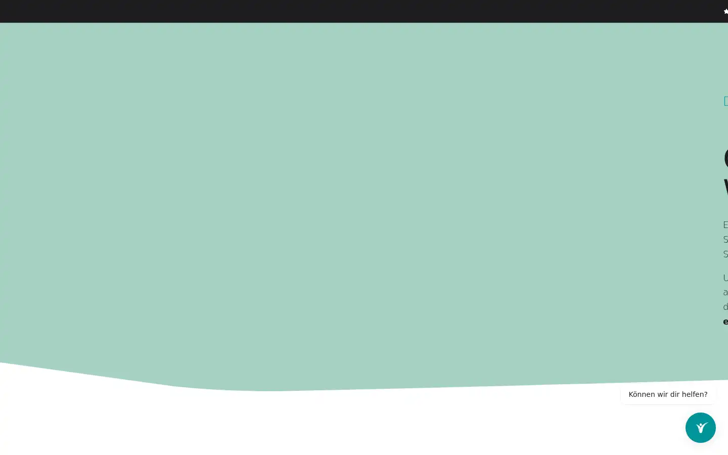 Screenshot of intumind.de