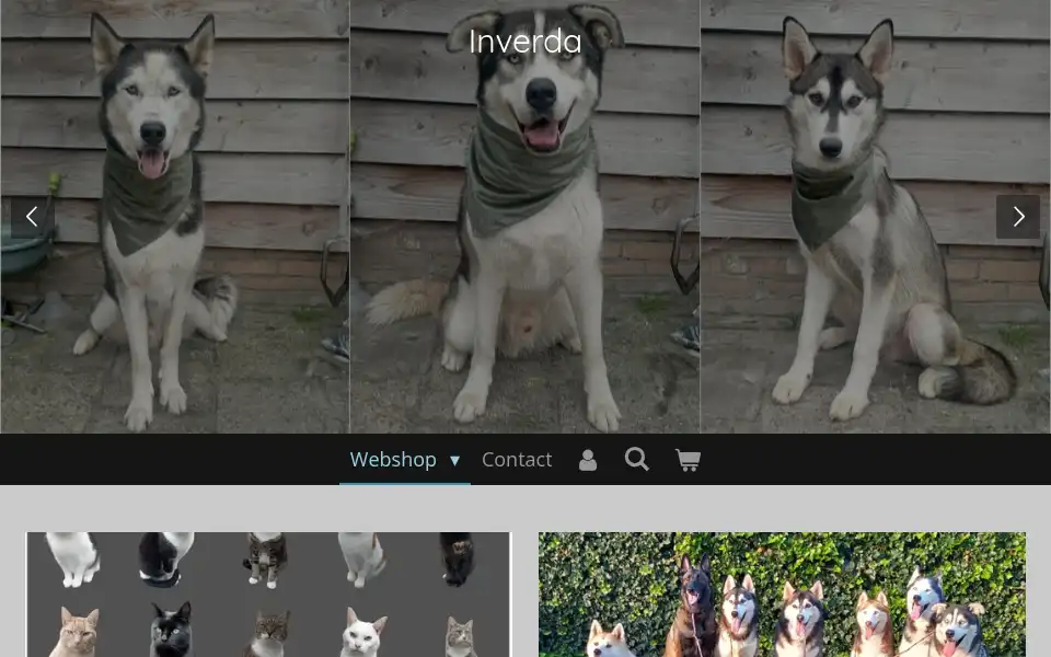 Screenshot of inverda.nl