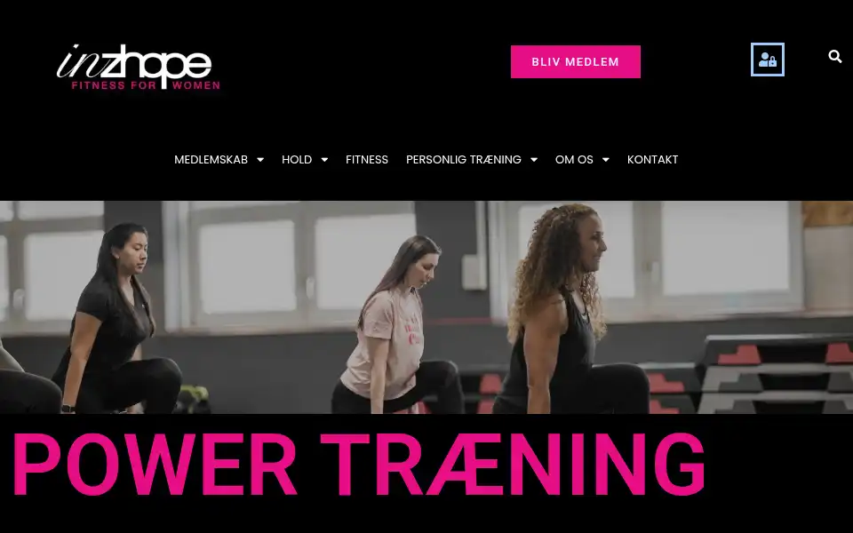 Screenshot of inzhape.dk