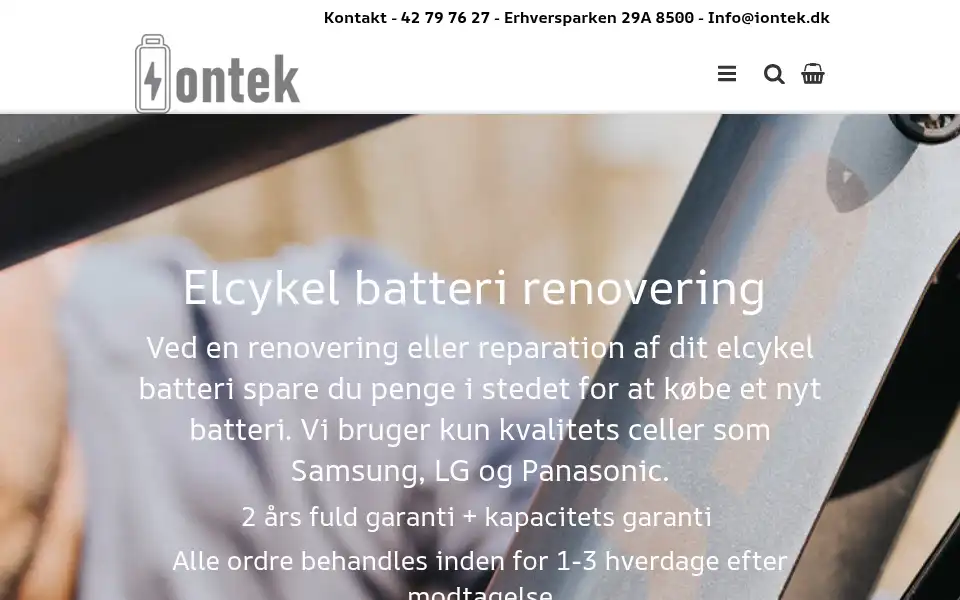 Screenshot of iontek.dk