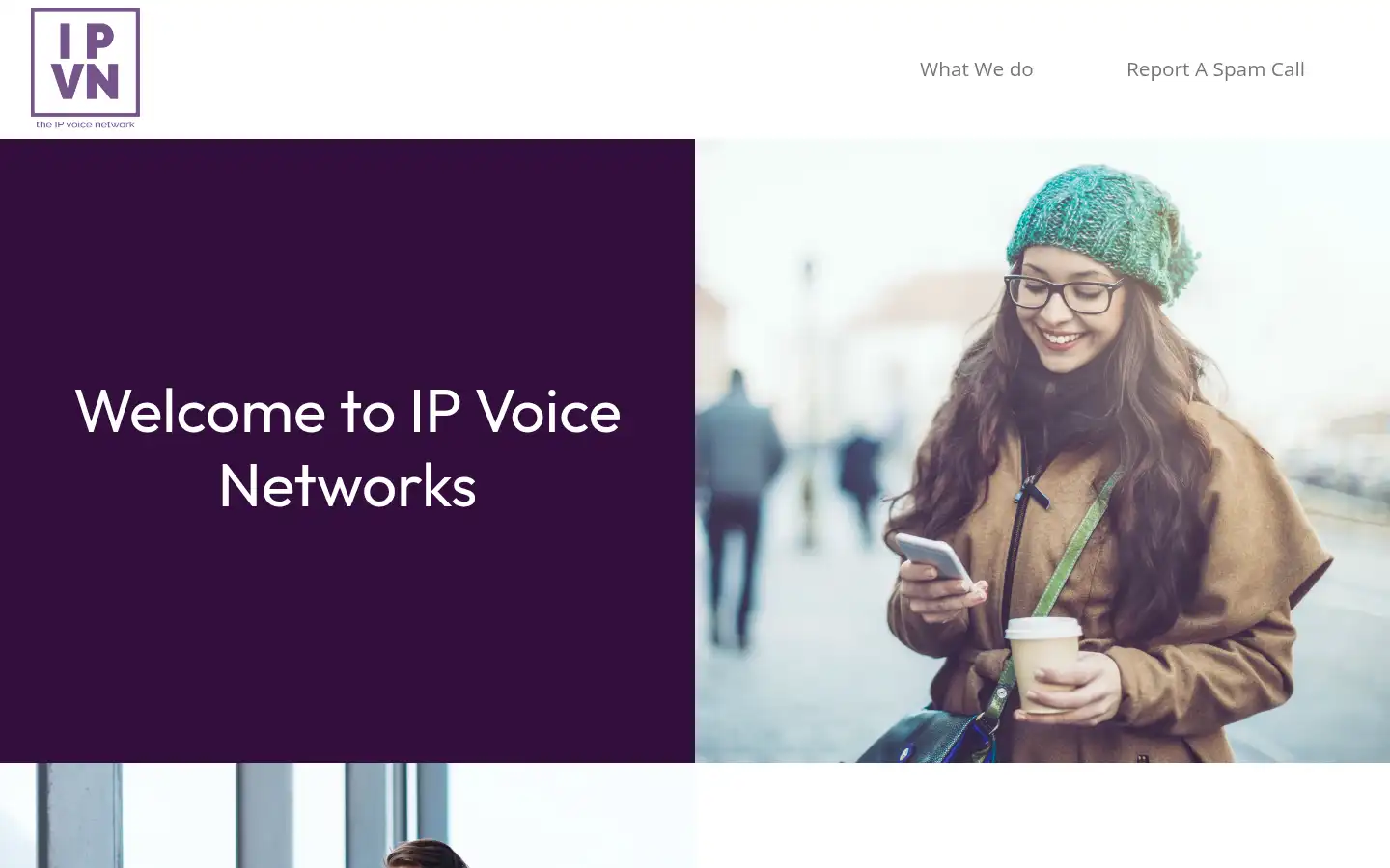 Screenshot of ip-vn.com