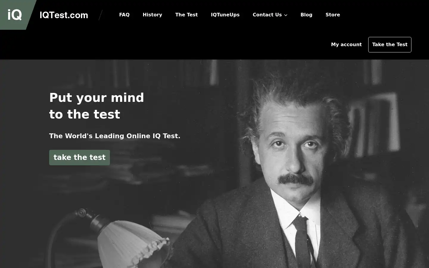 Screenshot of iqtest.com
