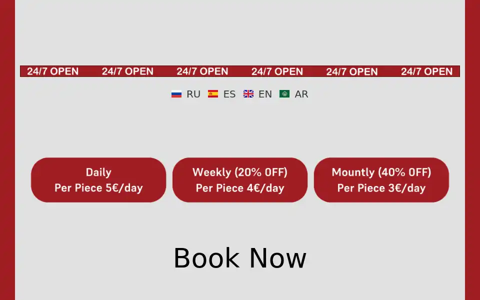 Screenshot of istanbulluggagestorage.com